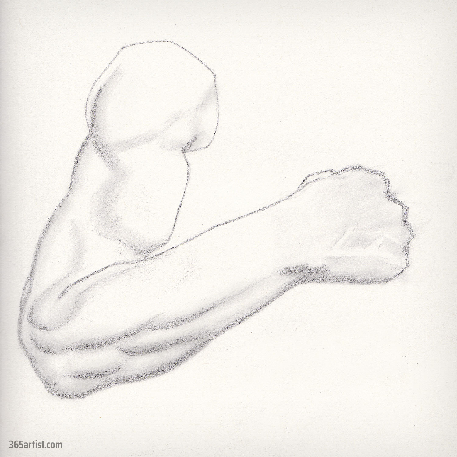 arm study drawing