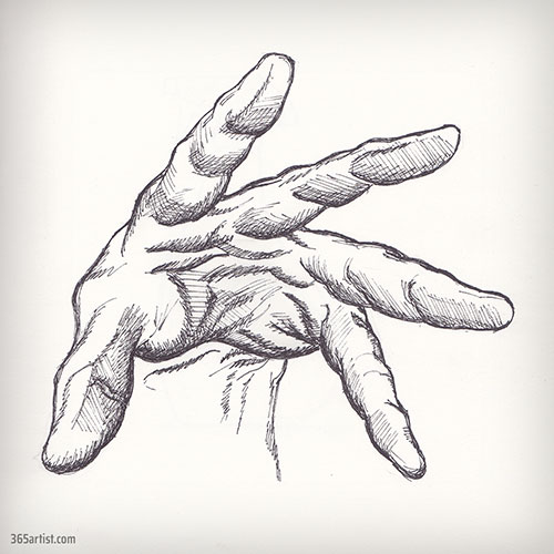 hand drawing study