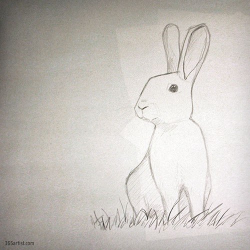 drawing of a rabbit